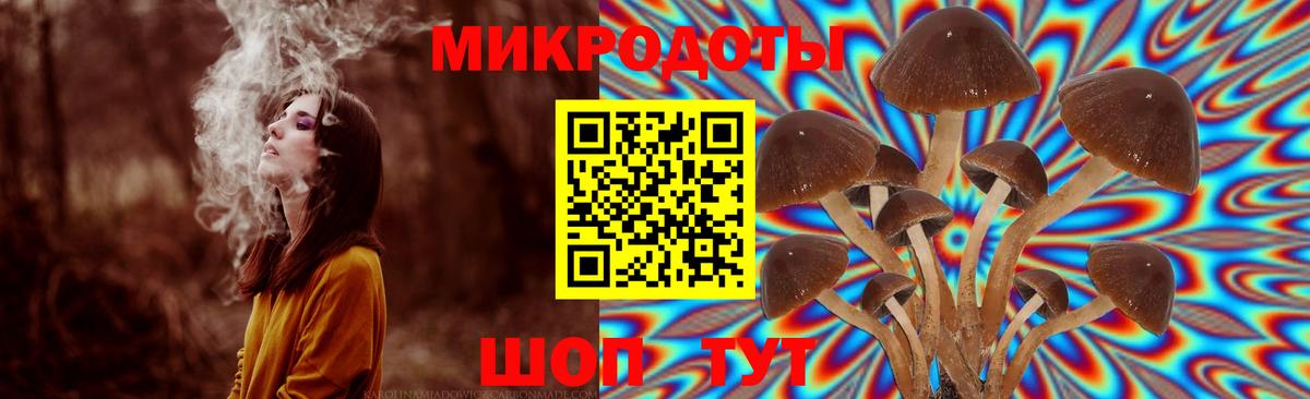 Орёл  Псилоцибиновые грибы MAGIC MUSHROOMS  Вход с VPN 