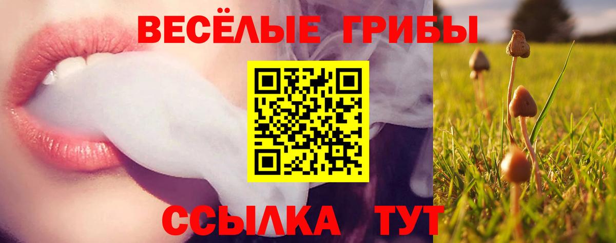 Псилоцибиновые грибы мицелий Орёл